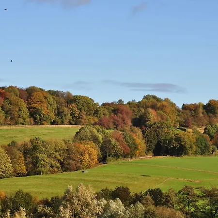 Klein Zwitserland فندق 4*