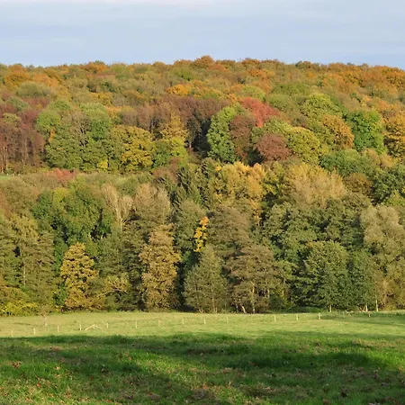 Отель Klein Zwitserland