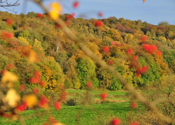 Hotel Klein Zwitserland
