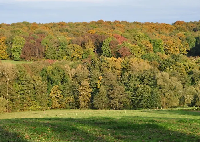 Otel Klein Zwitserland