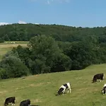 Klein Zwitserland 4* סלנאקן