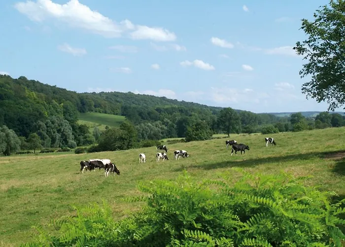 Klein Zwitserland Hotel 4*